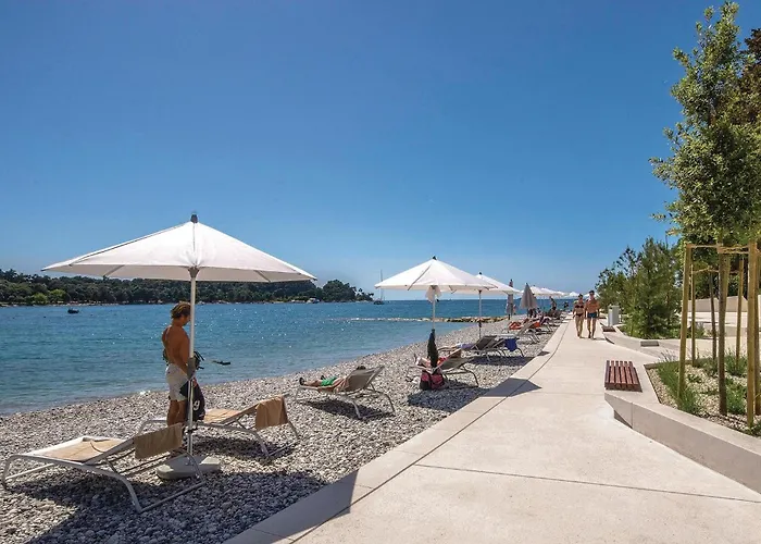 Awesome In With Kitchen